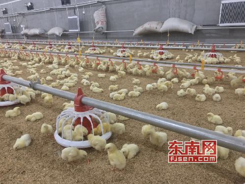 苏坂镇总人口_坂仔镇店面图片