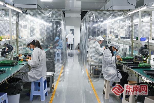 外贸逆势增长81%!龙岩武平“主体培育”与“特色产业”双轮驱动(图2)