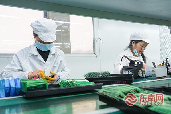 外贸逆势增长81%!龙岩武平“主体培育”与“特色产业”双轮驱动(图3)