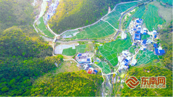 龙岩永定：深耕林下“灵”经济铺就乡村振兴共富路(图5)